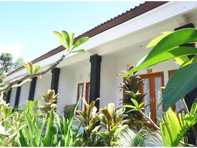 Wani Bali Bungalow Toyapakeh Kültér fotó